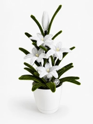 Bright Blossom