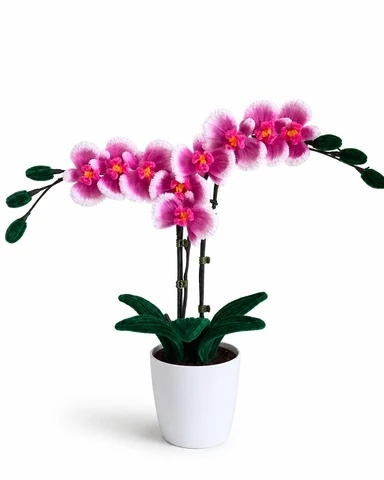 Mystic Orchid