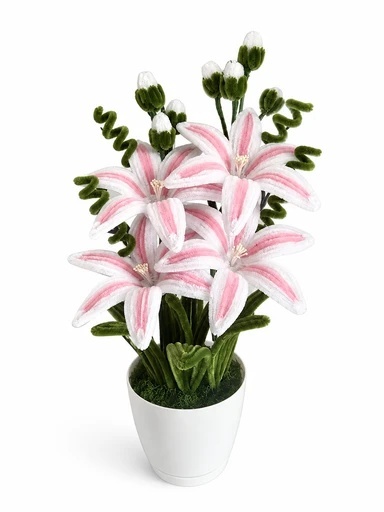 Shadow Flora