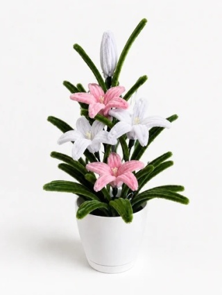 Sweet Blossom