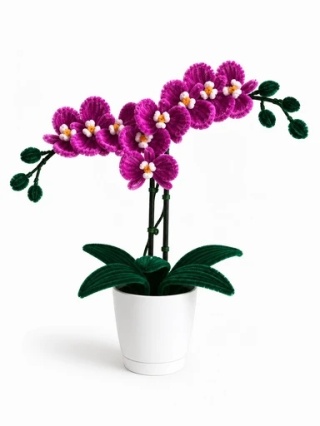 Velvet Petals